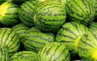 吃瓜大赛每日聚集地,揭秘吃瓜大赛每日聚集地的热门焦点